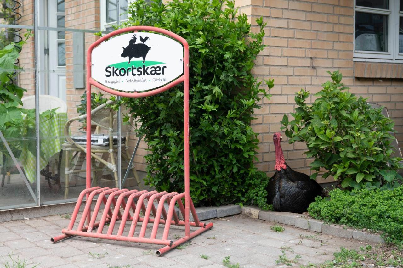 HavnsøSkortskaer Bondegardsferie住宿加早餐旅馆 外观 照片