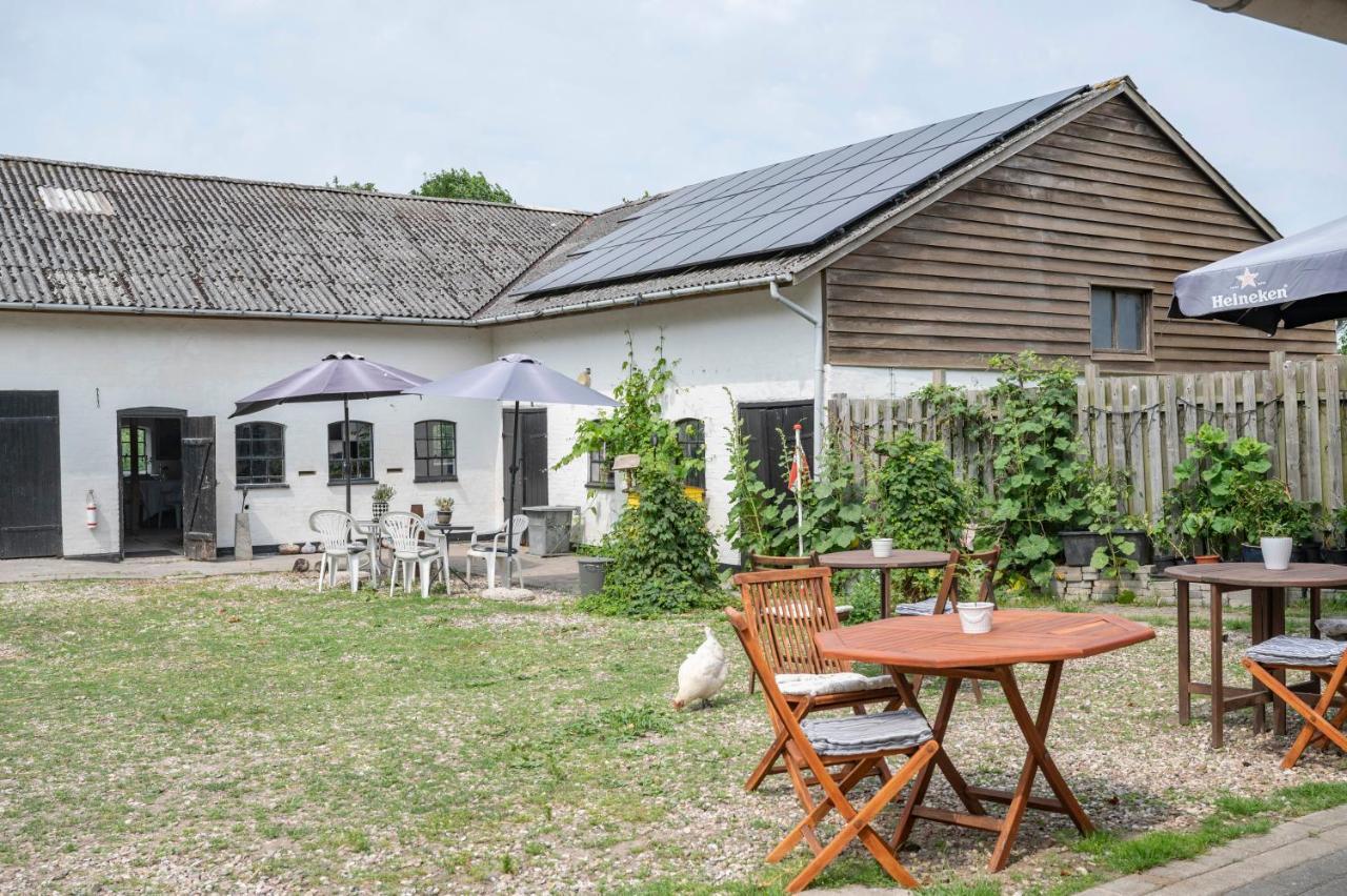 HavnsøSkortskaer Bondegardsferie住宿加早餐旅馆 外观 照片