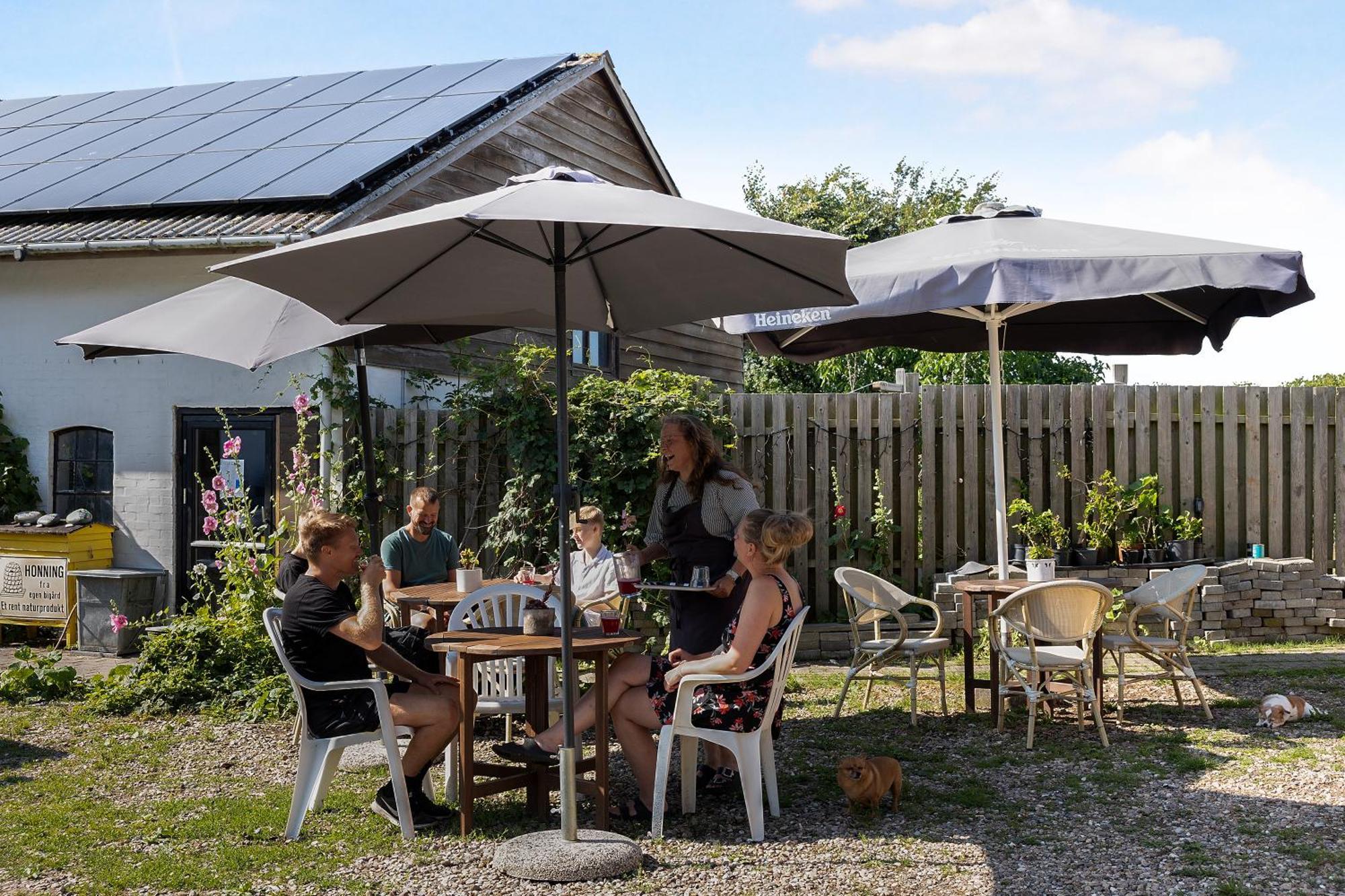 HavnsøSkortskaer Bondegardsferie住宿加早餐旅馆 外观 照片